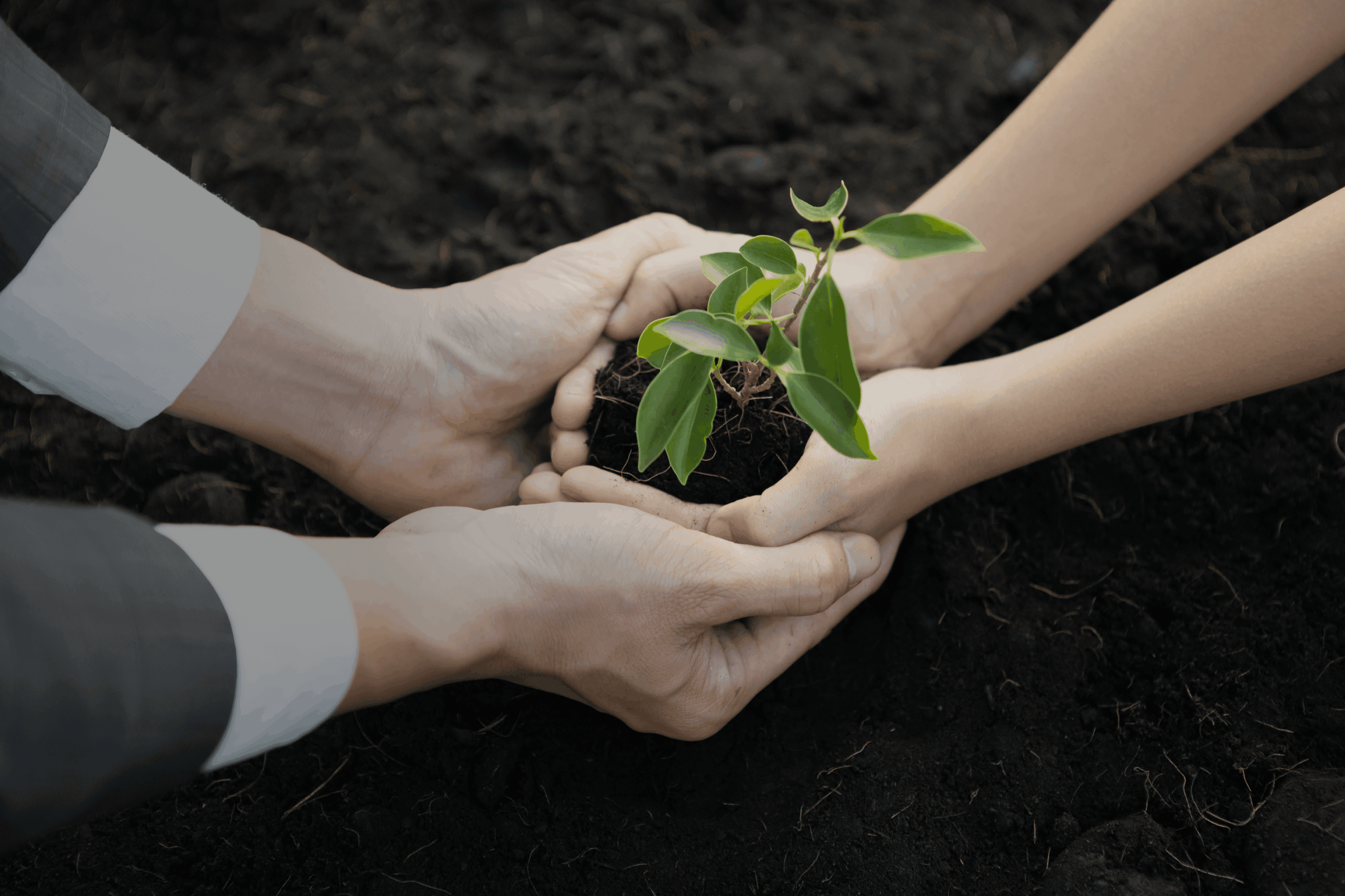 КРЕДИТИ ДЛЯ МАЛОГО БІЗНЕСУ