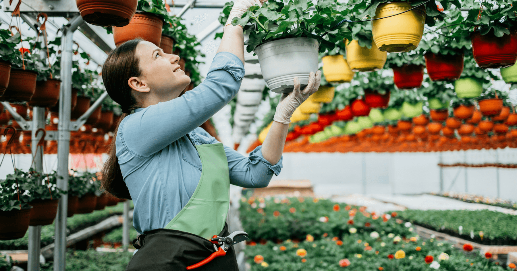 Які умови кредитування ФОП