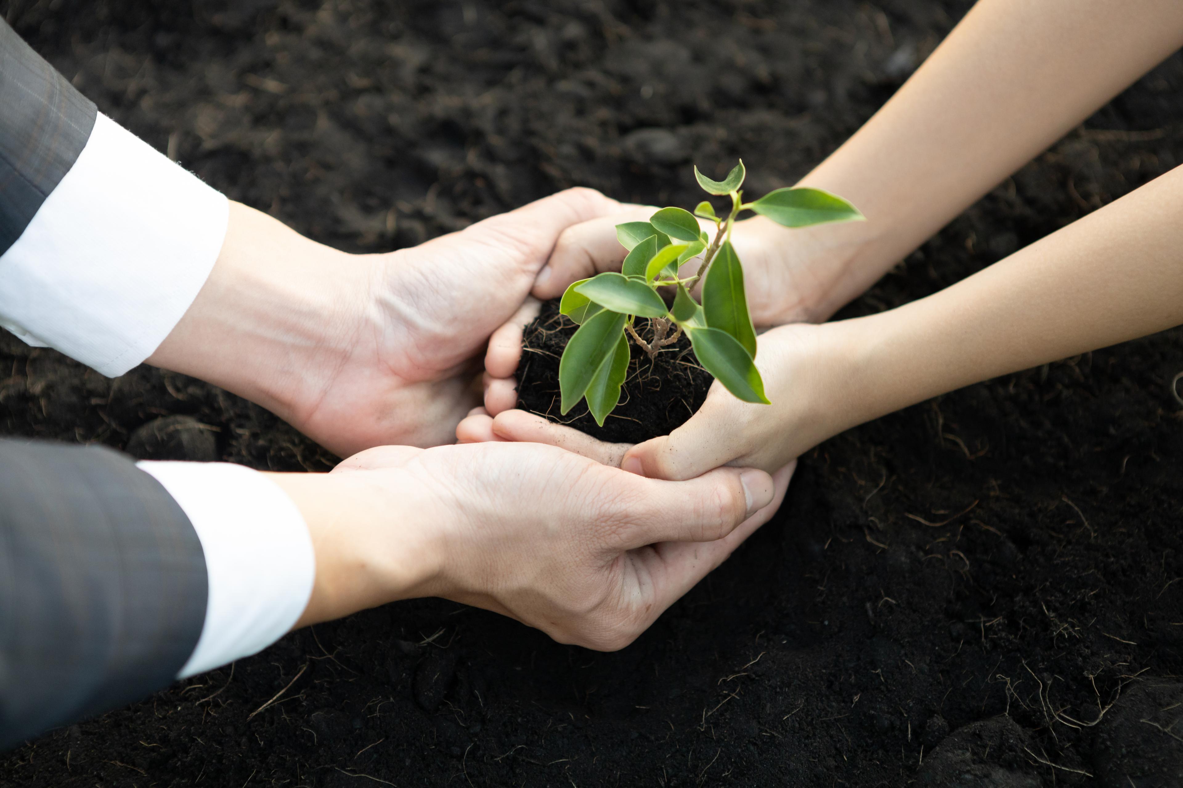 Тестовий ресурс